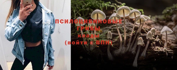 круглые Алзамай
