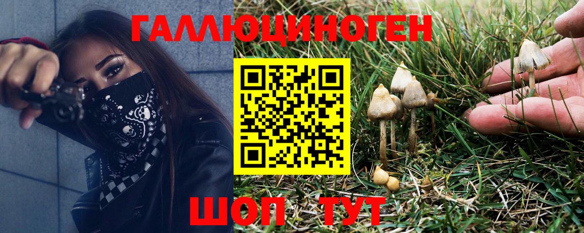 Ковров  Псилоцибиновые грибы GOLDEN TEACHER  Галлюциногенные грибы Magic Shrooms  Вход с VPN 