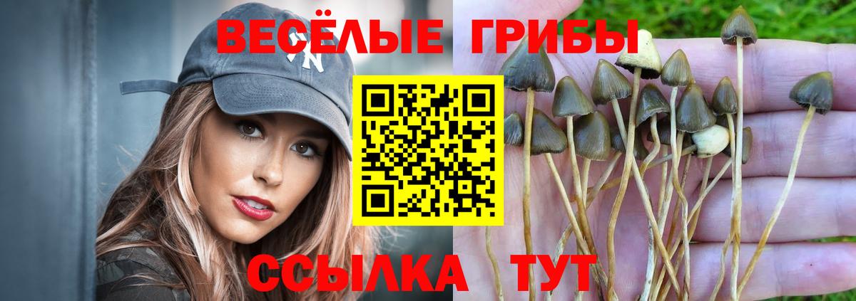 Галлюциногенные грибы мухоморы Ковров