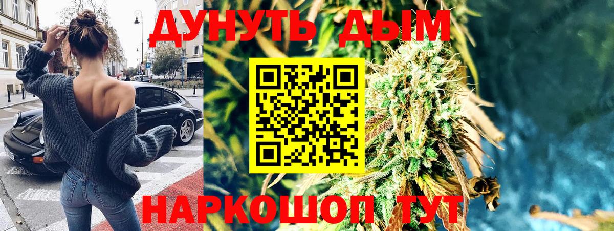 Конопля семена  Канабис Bruce Banner  Бошки Шишки планчик  Ковров  Канабис семена  Вход с VPN 
